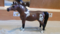 /album/fotogalerij-onze-paarden/schermafbeelding-2013-03-14-om-16-10-47-png/